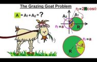 Mathematician finally solves the infamous goat problem