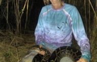 Woman who left her  real estate  has now made searching  for pythons at night her full-time job