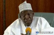 Gov Ganduje wants cattle movement from North to South  banned