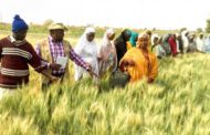 FCTA sensitises farmers to resilient agriculture, food security systems