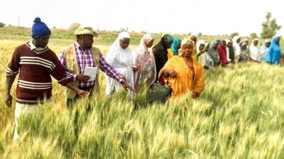 FCTA sensitises farmers to resilient agriculture, food security systems