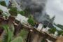 Residents flee as Boko Haram invade Yobe community, hoists flag