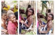 Weak and tattered, 29 students forestry college, Kaduna freed