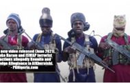 Boko Haram, ISWAP team up, declare readiness for Jihad