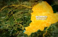 Troops foil Boko Haram attack in Borno town, kill six