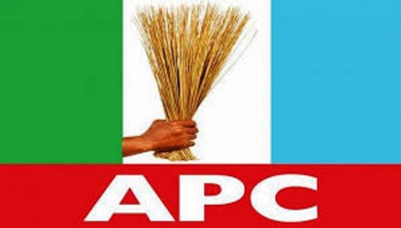 APC wins all 57 council seats in Lagos