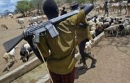 Armed herdsmen invade Enugu community, kill 8, destroy farmlands