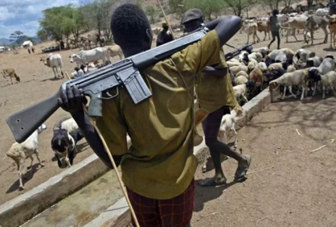 Armed herdsmen invade Enugu community, kill 8, destroy farmlands