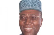 Niger suspends council meeting as senator dies