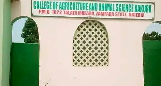 Abductors Of Zamfara college students demand N350 million