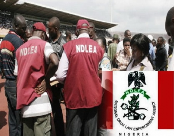NDLEA foils int’l terrorists attempt to import drugs into Nigeria for insurgents