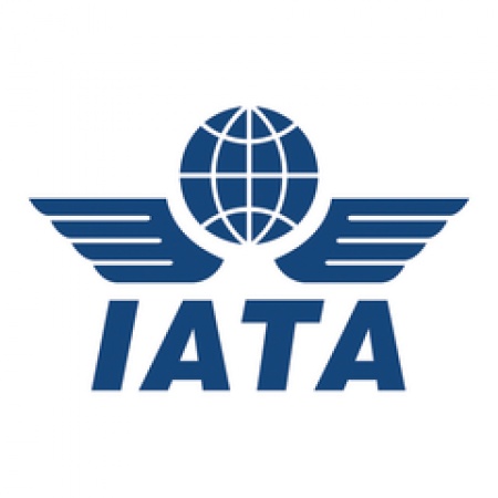 Airlines’ inability to remit $208m threatens international flights to Nigeria: IATA