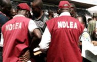 NDLEA arrests 4 drug traffickers on Nigeria-Cameroon border