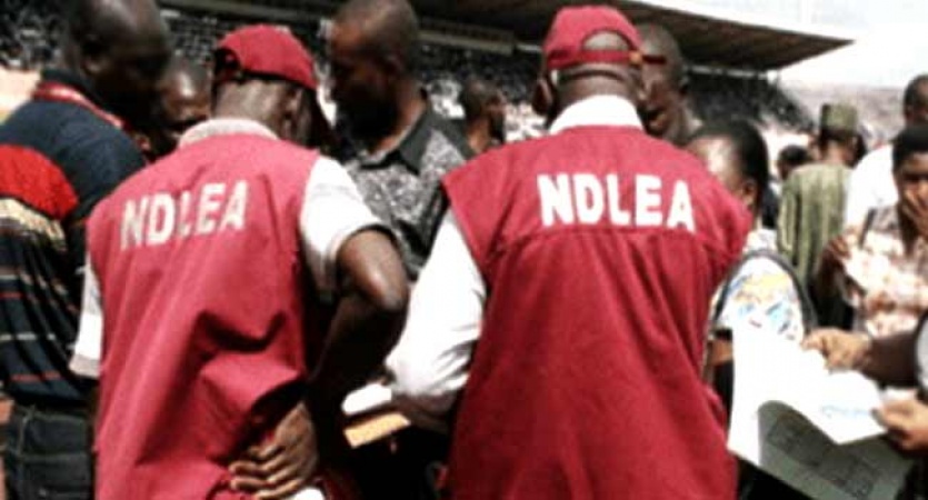 NDLEA arrests 4 drug traffickers on Nigeria-Cameroon border