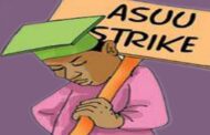 ASUU strike: Medical student turns to street food vendor