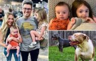 Dogs kill 2 children, injure mother